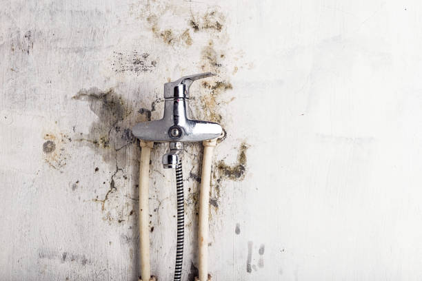 Best Mold Damage Repair  in Colby, KS