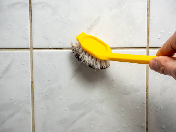 Best Fast Mold Removal  in Colby, KS