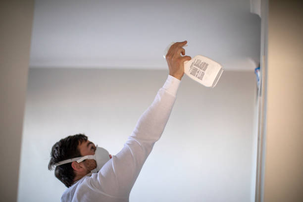 Best Mold Remediation Experts  in Colby, KS