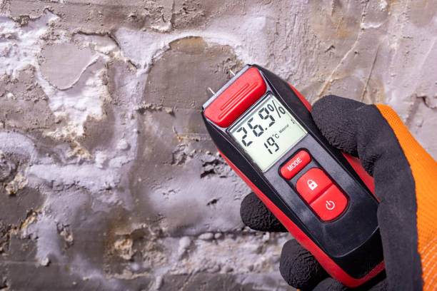 Best Mold Removal Company Near Me  in Colby, KS